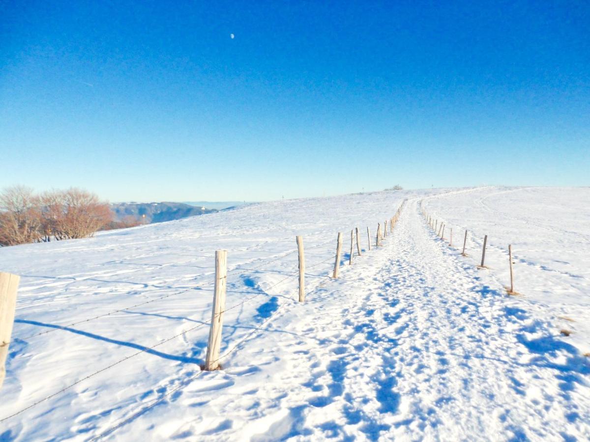 Gite Leonline Sur Les Hauteurs De Masevaux -Au Pied Des Vosges Eksteriør billede