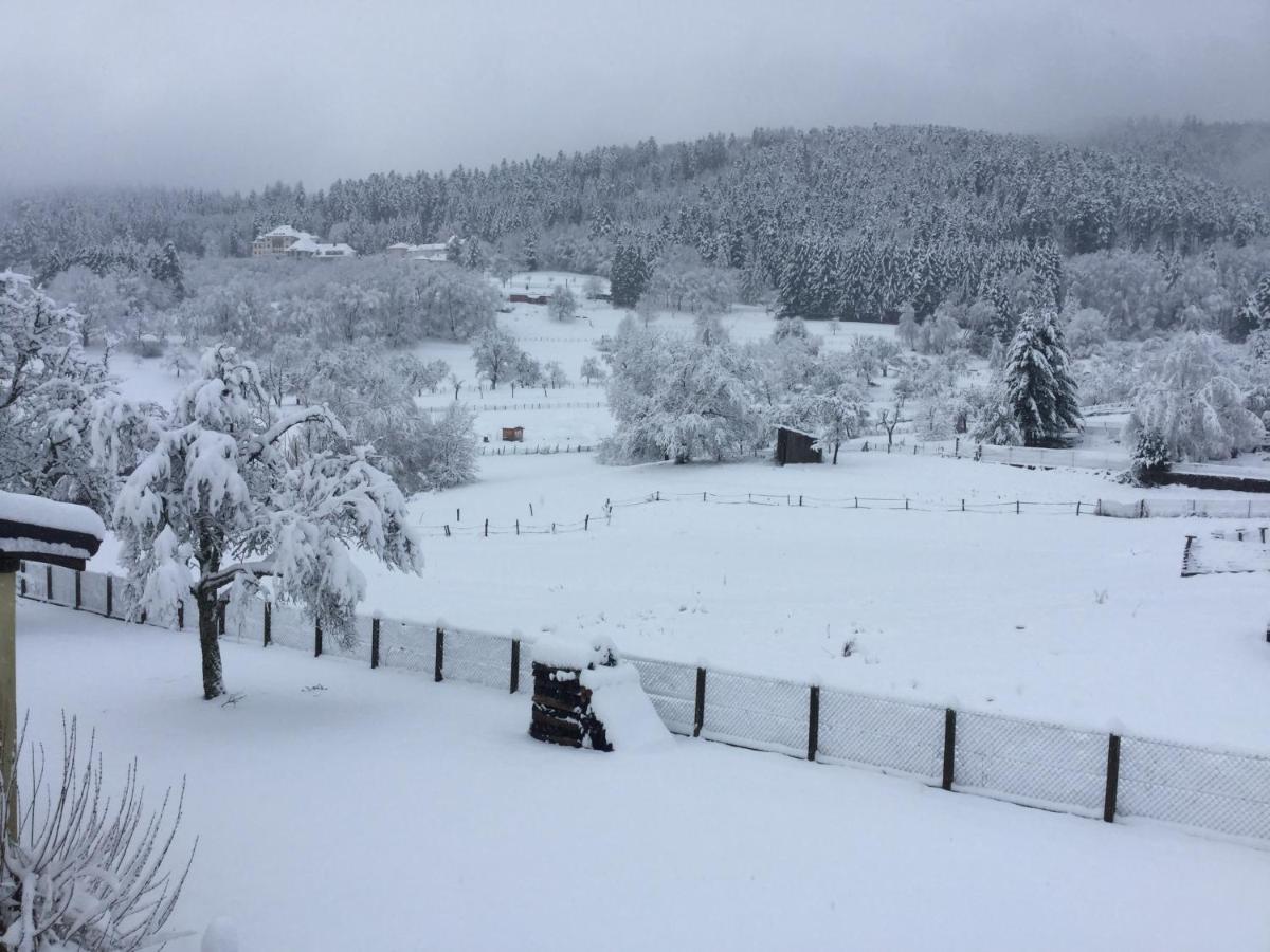 Gite Leonline Sur Les Hauteurs De Masevaux -Au Pied Des Vosges Eksteriør billede
