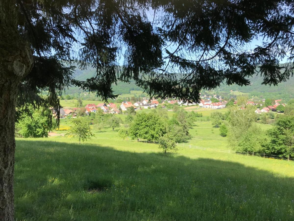 Gite Leonline Sur Les Hauteurs De Masevaux -Au Pied Des Vosges Eksteriør billede